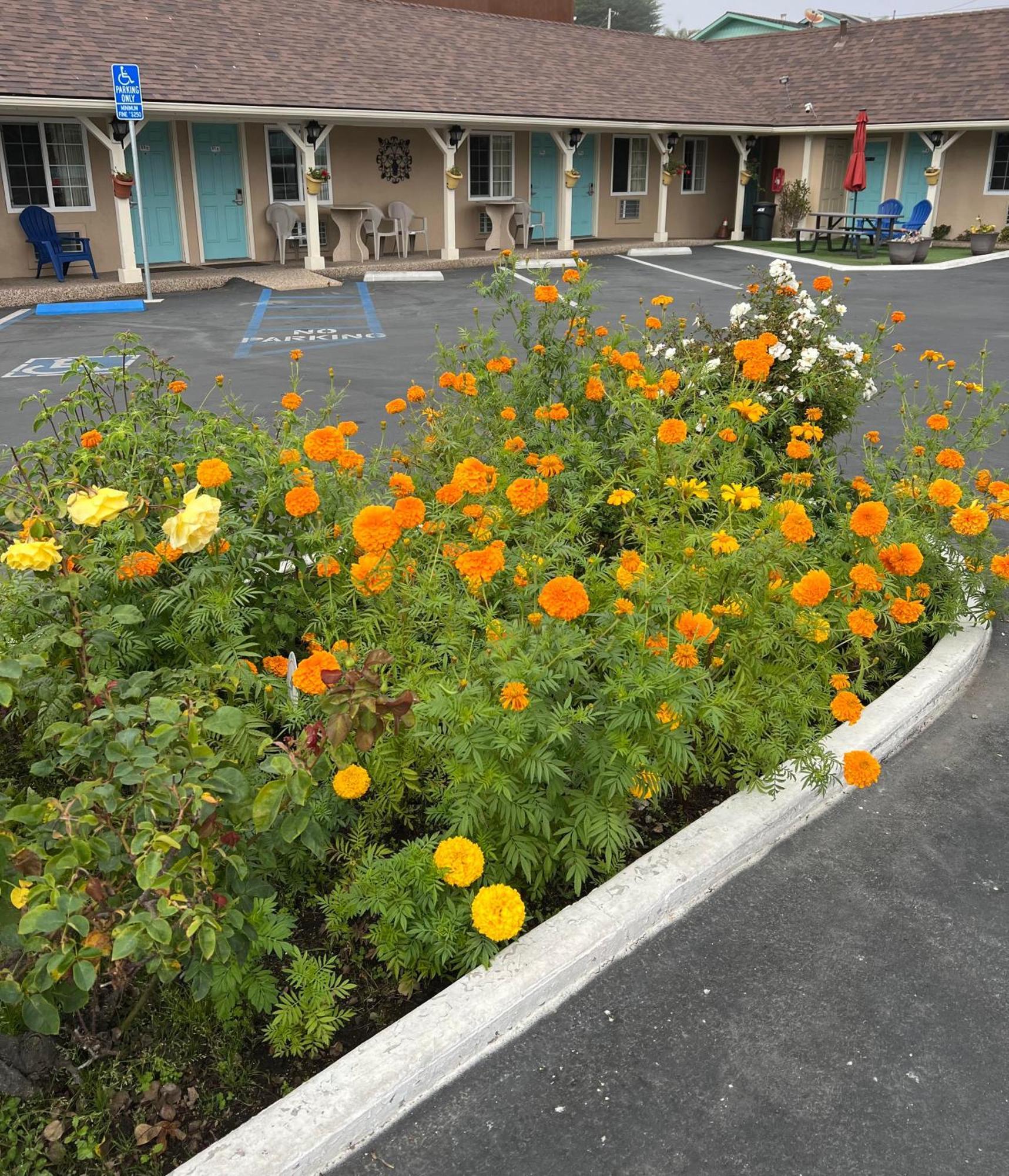 Central Coast Inn Cayucos Buitenkant foto